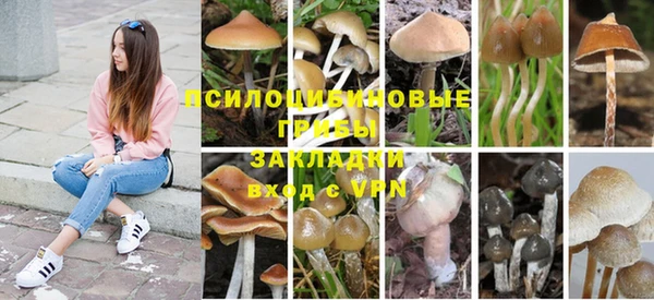 спиды Фурманов